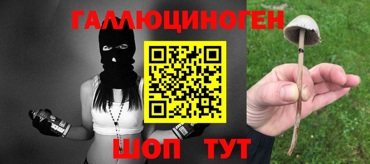 Галлюциногенные грибы мицелий  Вход с VPN  Великие Луки  Псилоцибиновые грибы GOLDEN TEACHER 