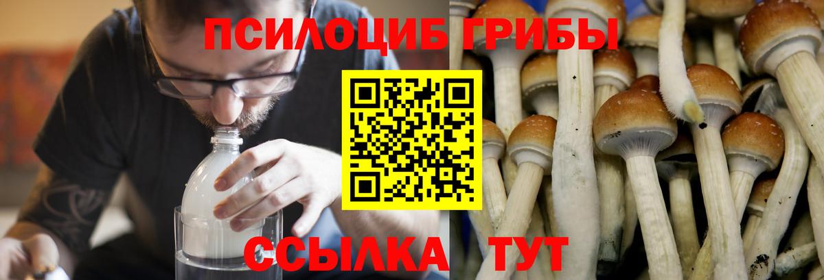 ГАШИШ  НБОМе  COCAIN  МЕФ   Великие Луки  Вход с VPN  Бошки Шишки 